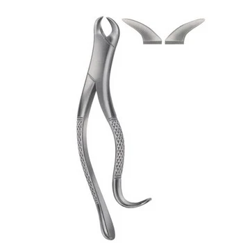 Ext Forceps American pattern, catalogue reference ZEN-EFA-020