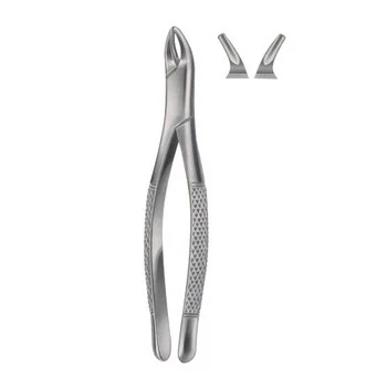 Ext Forceps American pattern, catalogue reference ZEN-EFA-024
