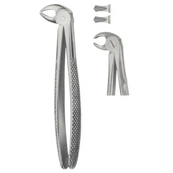 Tooth Forceps for Children, catalogue reference ZEN-EFC-009