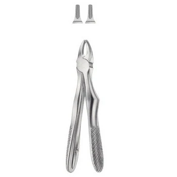Tooth Forceps for Children, catalogue reference ZEN-EFC-013
